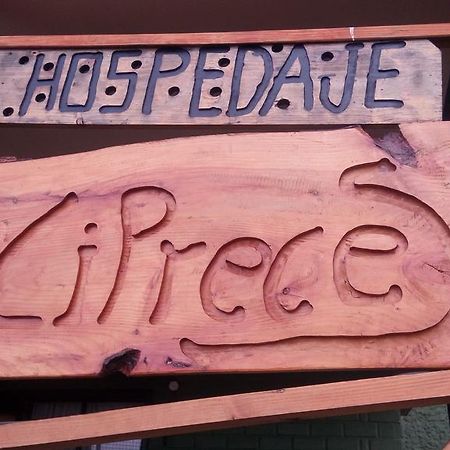 Hospedaje Los Cipreses Coyhaique Luaran gambar